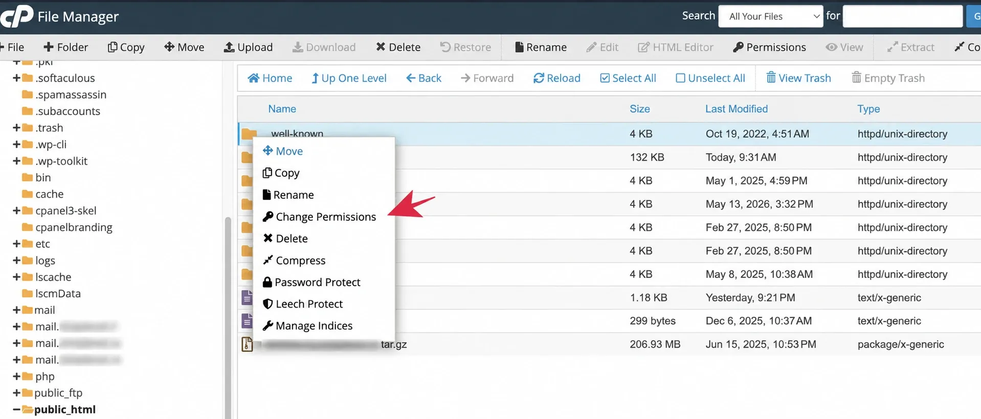 Change Permissions în File Manager cPanel, cu numele domeniilor mascate