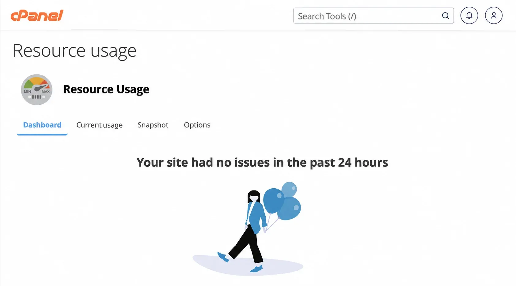 Dashboard în Resource Usage, cu filele pentru consum și instantanee