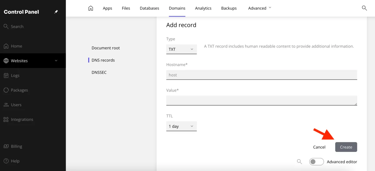 Formularul pentru o înregistrare DNS nouă