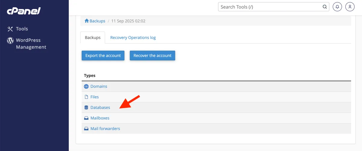 Deschide Databases din backupul ales