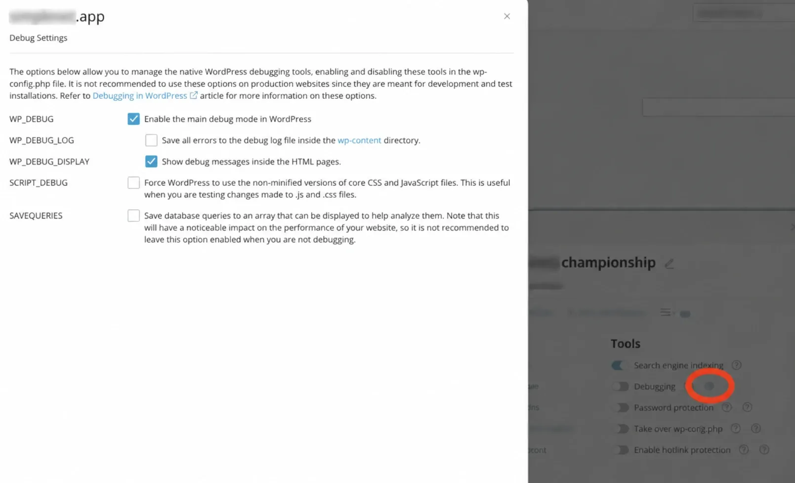 Setări avansate debug în cPanel, cu domeniul mascat