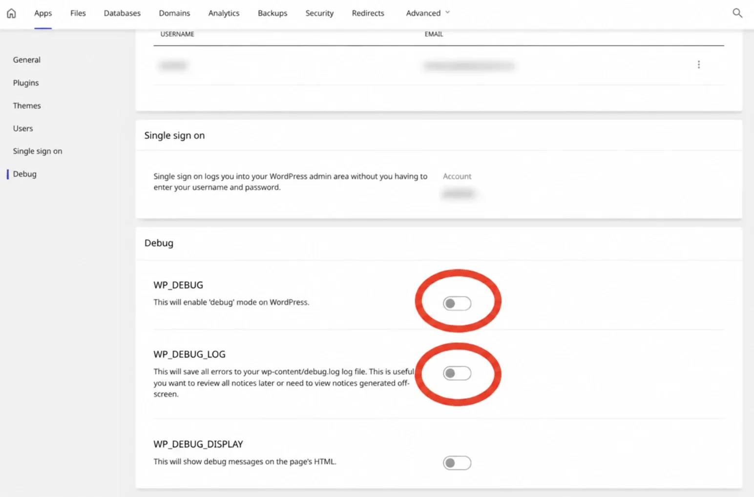 Comutatoarele Debug din Enhance, cu utilizatorul și emailul mascate