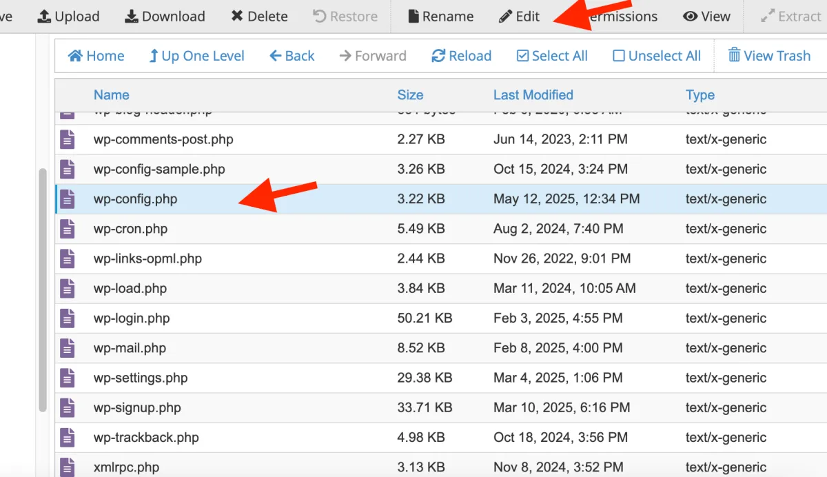 Editează wp-config.php din File Manager