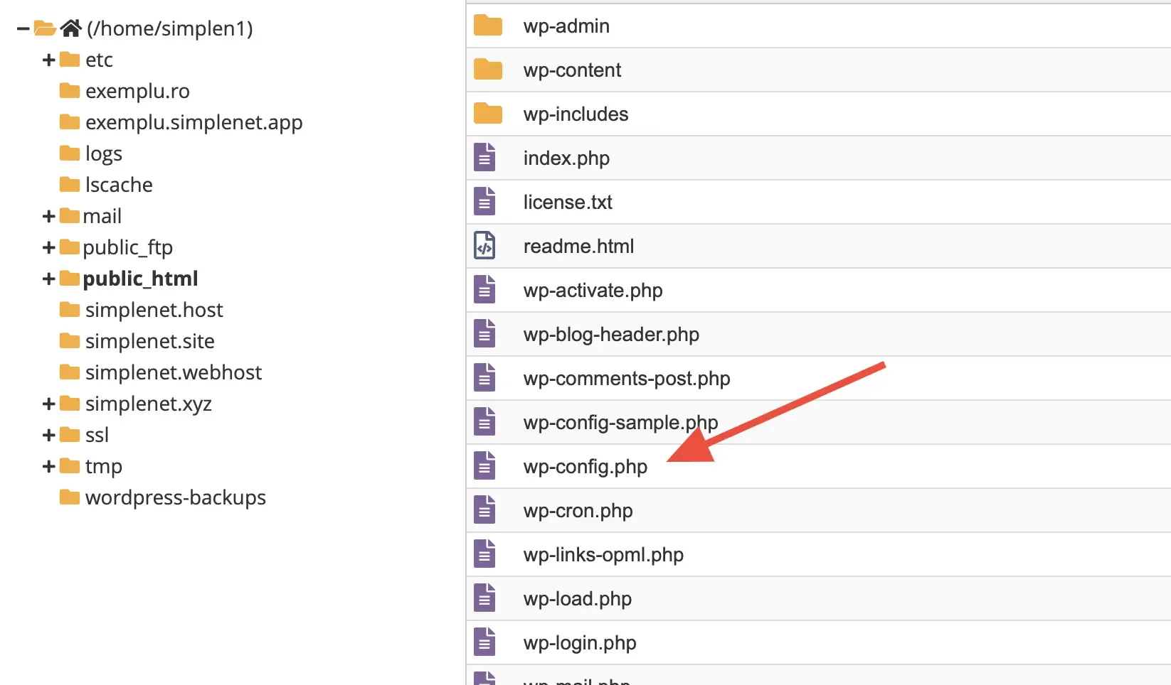 File Manager în cPanel