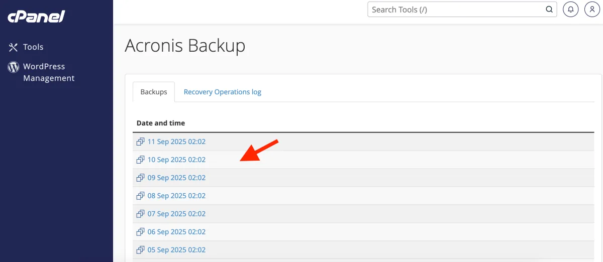 Backupurile disponibile pe zile în Acronis Backup