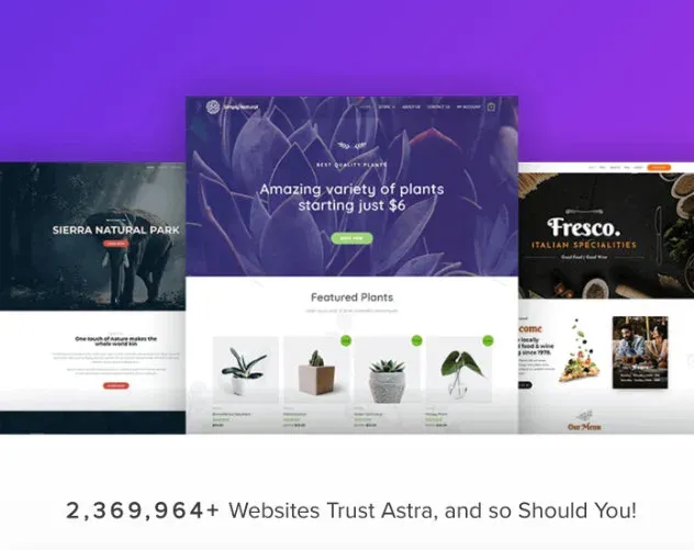 tema astra pentru woocommerce magazine online