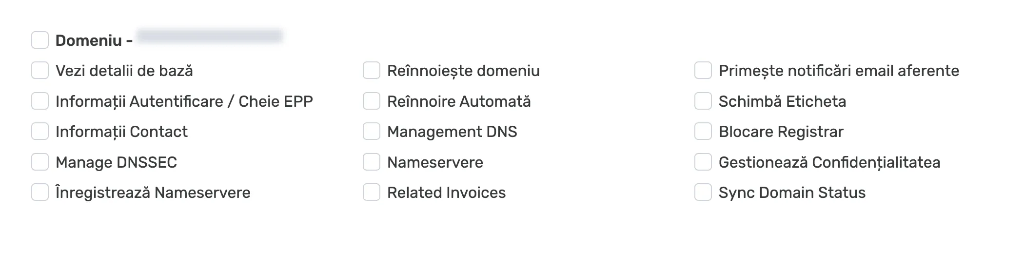 Permisiunile individuale pentru un domeniu, cu numele mascat și opțiunile pentru DNS, reînnoire și acces neselectate