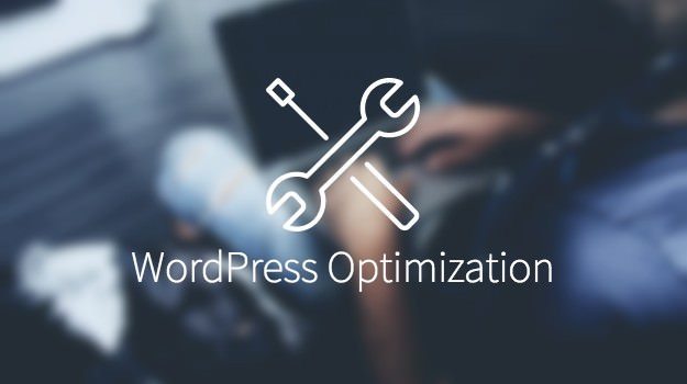 Performanta WordPress
