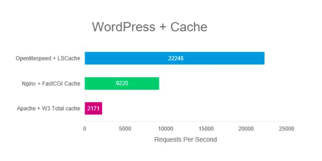 cache test