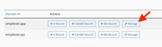 cum editezi o inregistrare DNS existenta din cPanel