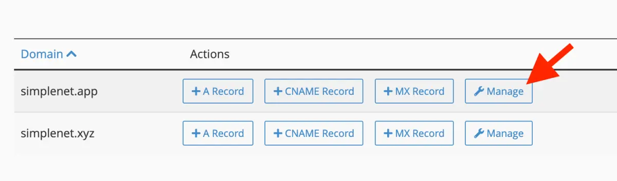 cum editezi o inregistrare DNS existenta din cPanel