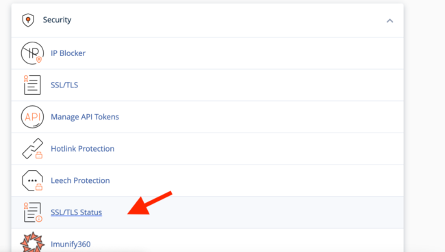 SSL/TLS Status la secțiunea Security in cPanel