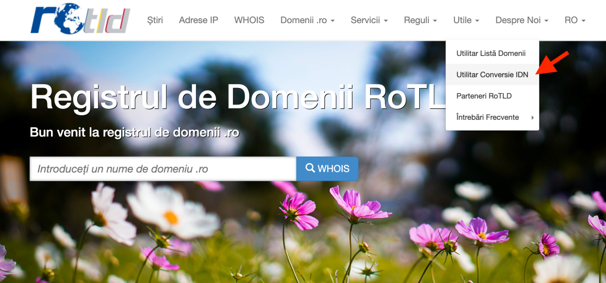 rotld sectiunea utilitar conversie IDN