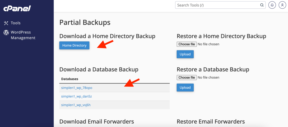 partial backups home directory and database backup