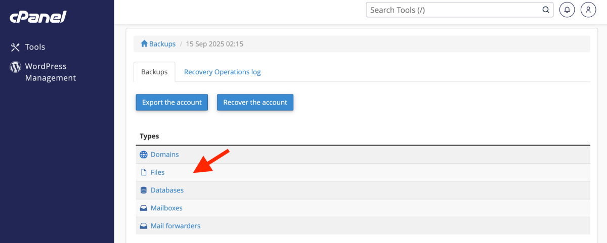 click pe Files, dupa selectarea datei