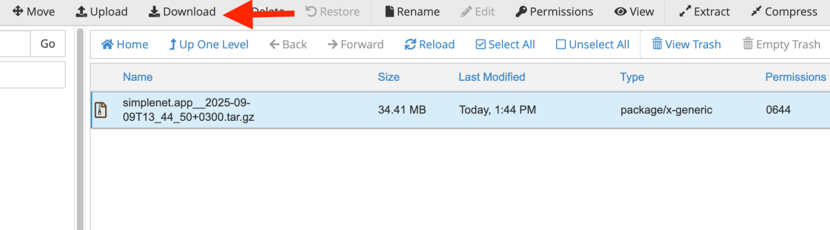 download din File Manager