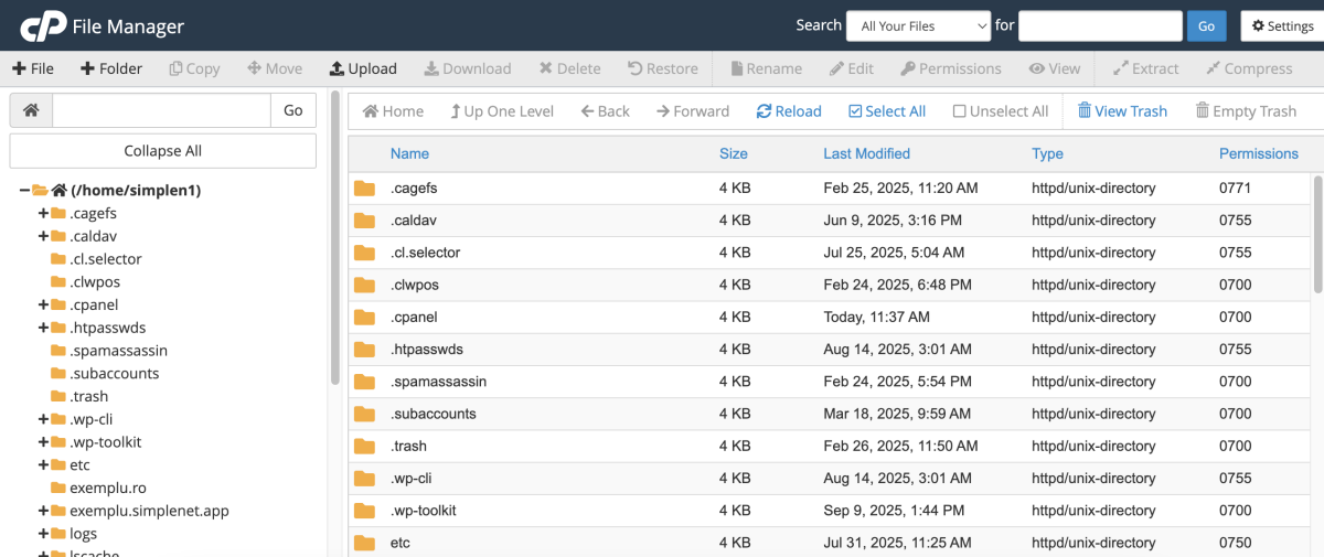 fișiere și comenzi pe care le poți da în File Manager din cPanel