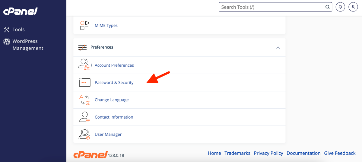 sectiunea Password and Security din cPanel