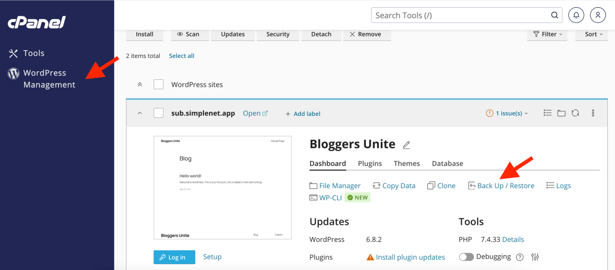 wordpress management wp toolkit secțiunea backup