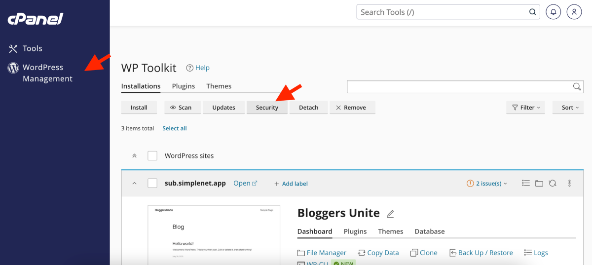 la WordPress management accesează tab-ul Security