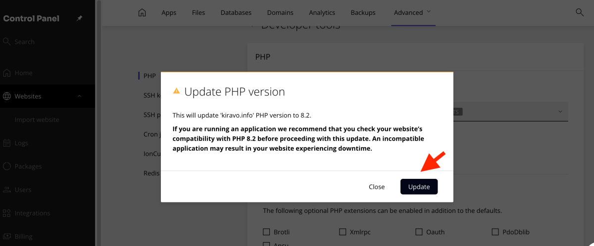 update button in sectiunea php version