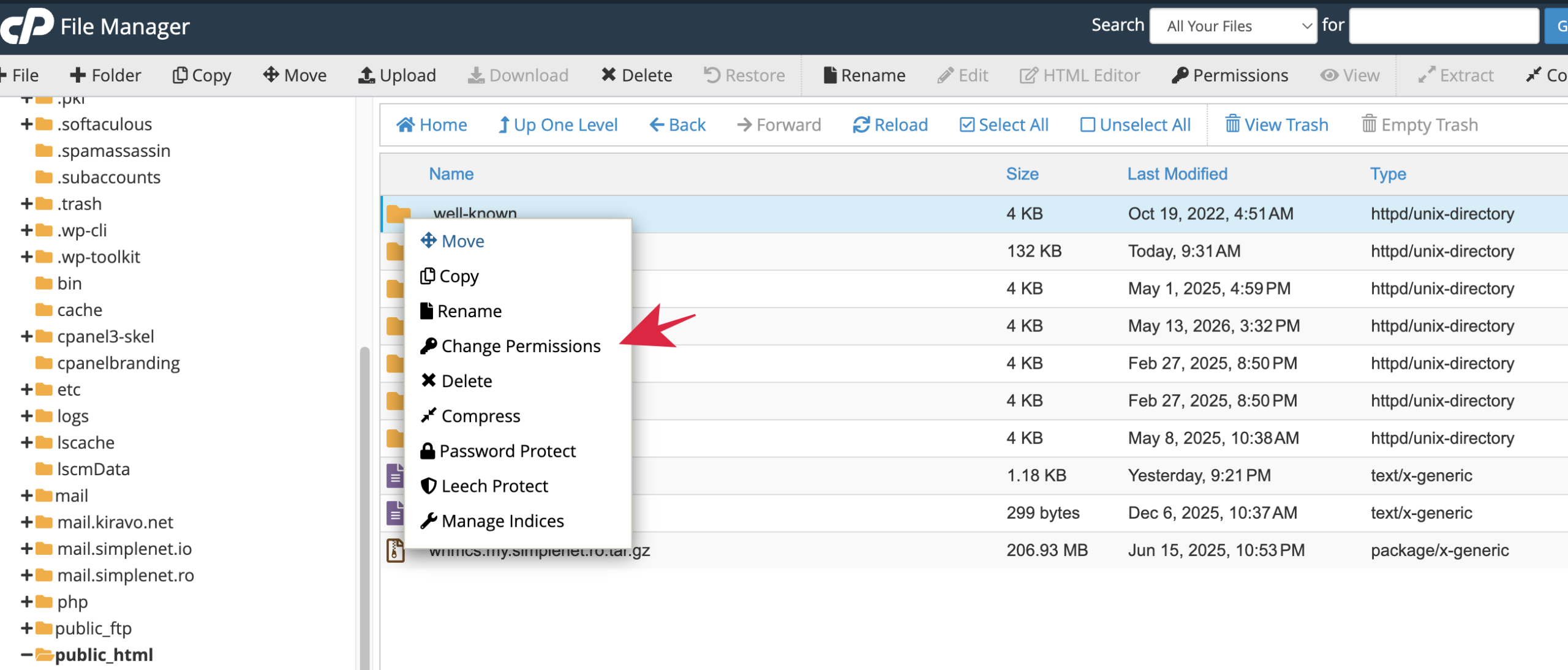 change-permissions in File Manager